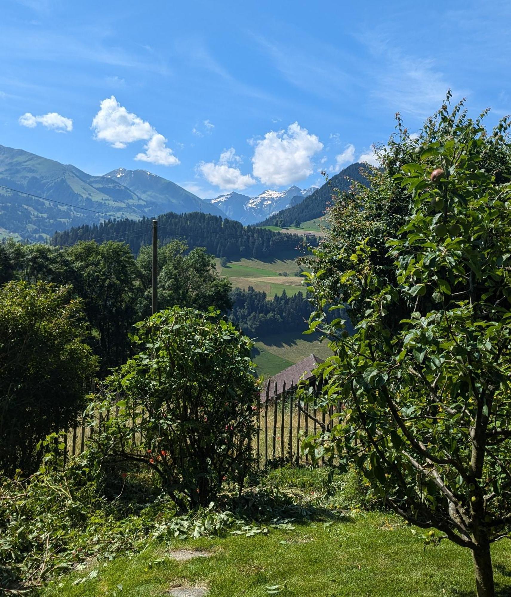 Swiss Mountain-Valley View Lodge Erlenbach im Simmental Ngoại thất bức ảnh