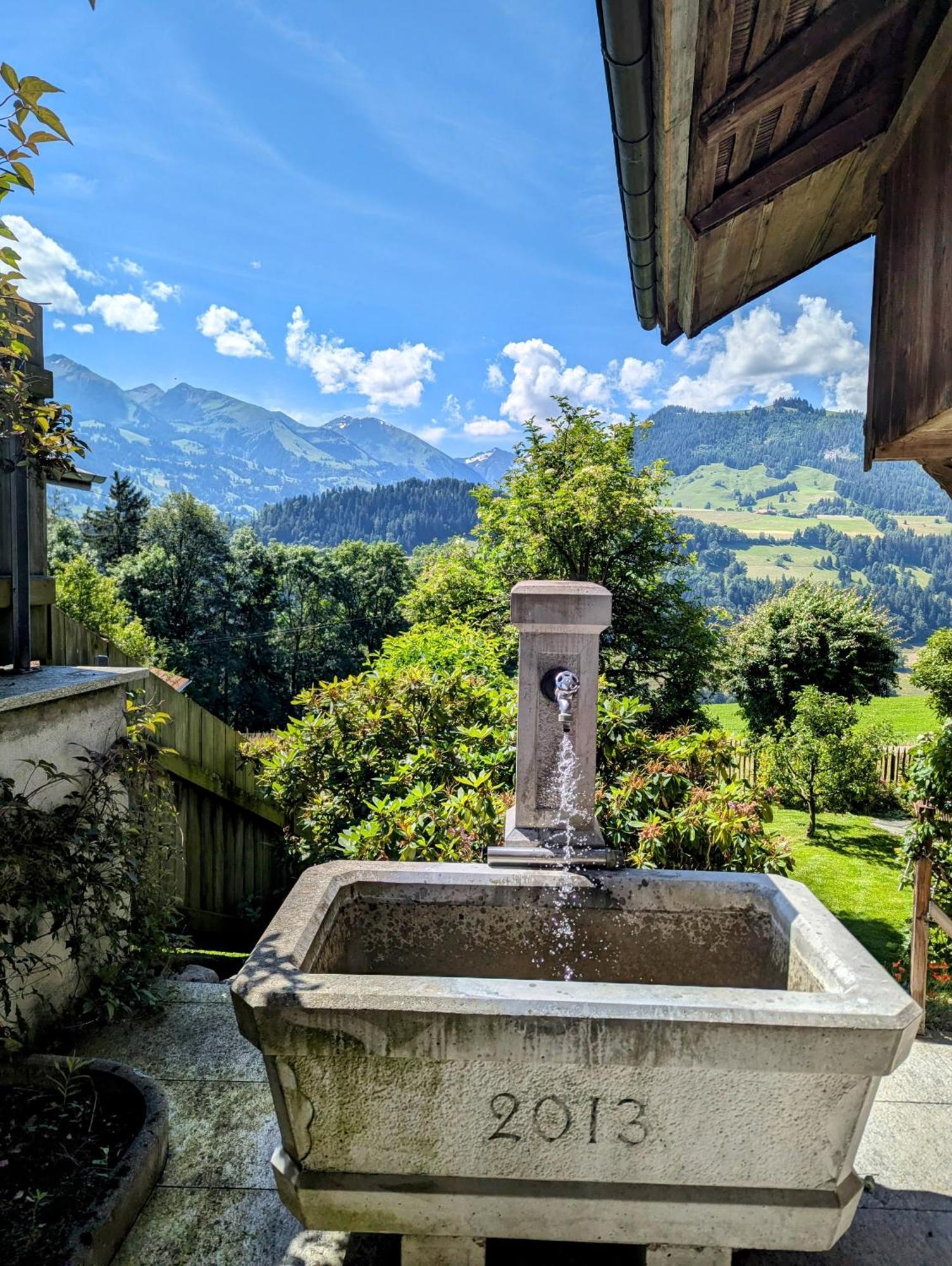 Swiss Mountain-Valley View Lodge Erlenbach im Simmental Ngoại thất bức ảnh