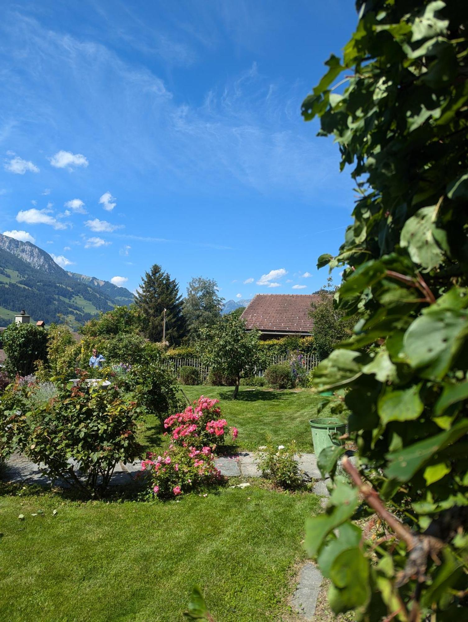 Swiss Mountain-Valley View Lodge Erlenbach im Simmental Ngoại thất bức ảnh