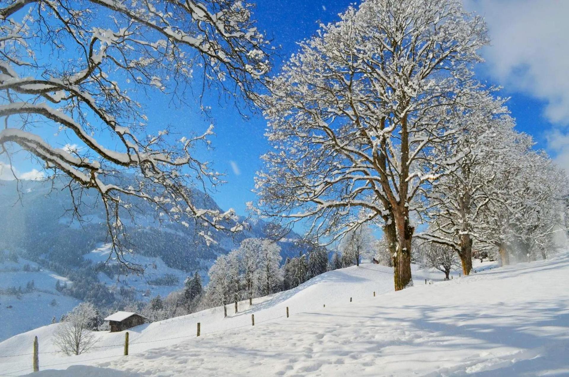 Swiss Mountain-Valley View Lodge Erlenbach im Simmental Ngoại thất bức ảnh
